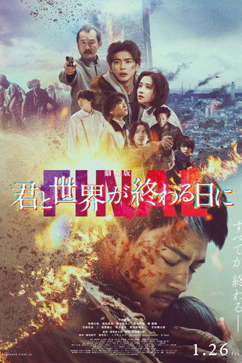 剧场版 与你在世界终结之日 FINAL