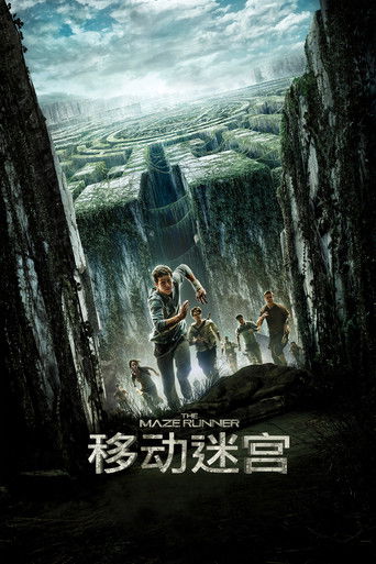 移动迷宫